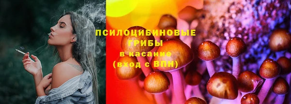 ГАЛЛЮЦИНОГЕННЫЕ ГРИБЫ Алексеевка