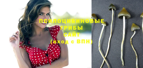 ГАЛЛЮЦИНОГЕННЫЕ ГРИБЫ Алексеевка