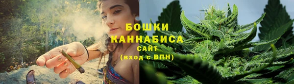 ГАЛЛЮЦИНОГЕННЫЕ ГРИБЫ Алексеевка